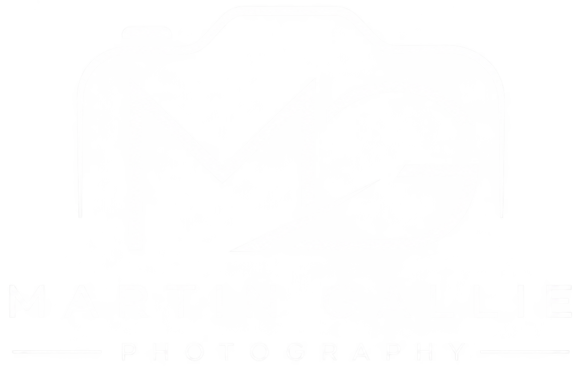 Martin Gallie